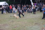 ../thumbnails/179-image180.jpg.small.jpeg