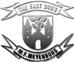 THE FAST DOGS